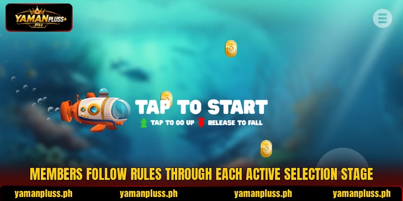 Members follow rules through each active selection stage Members follow rules through each active selection stage
